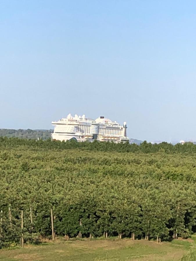 Wohnen Im Alten Land Grünendeich Esterno foto